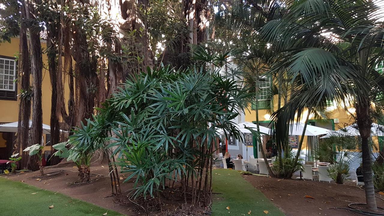 Hotel Casa Tortuga Santa Cruz de Tenerife Exterior foto